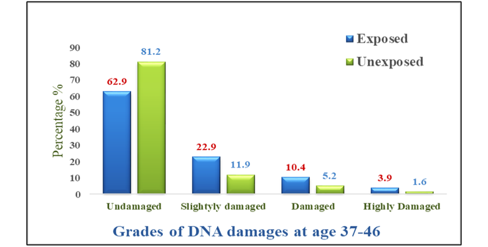 Figure 3: