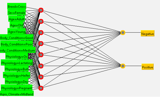Figure 4: