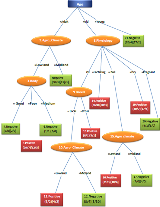 Figure 13:
