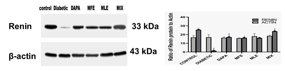 Figure 2: