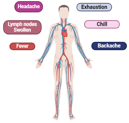 Figure 4: