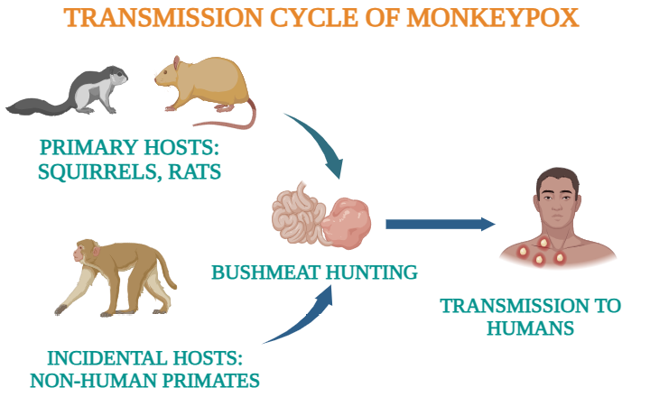 Figure 2: