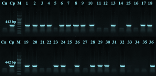 Figure 2: