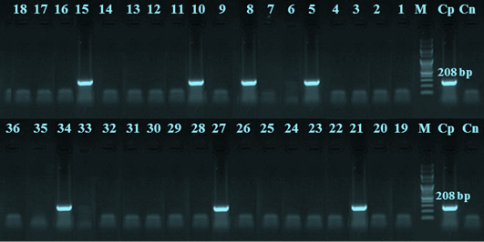 Figure 3: