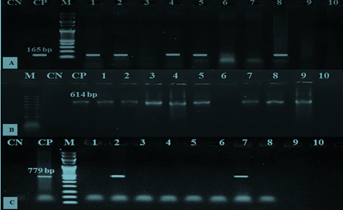 Figure 7: