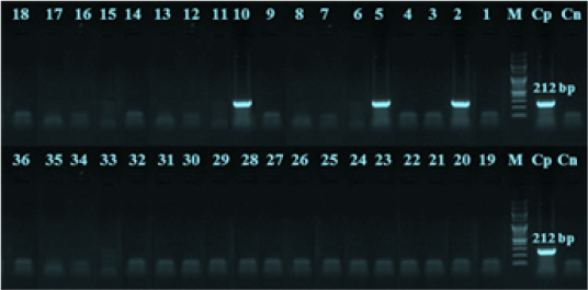 Figure 4: