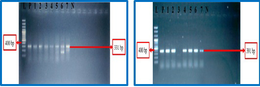 Figure 5:
