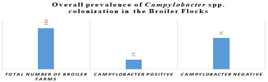Figure 6:
