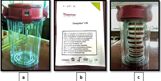 Figure 3: