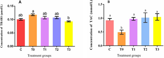 Figure 4: