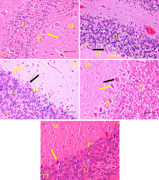 Figure 2: