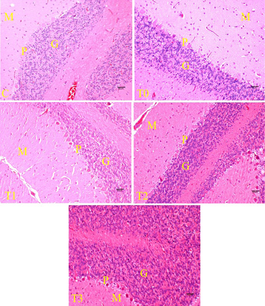 Figure 3: