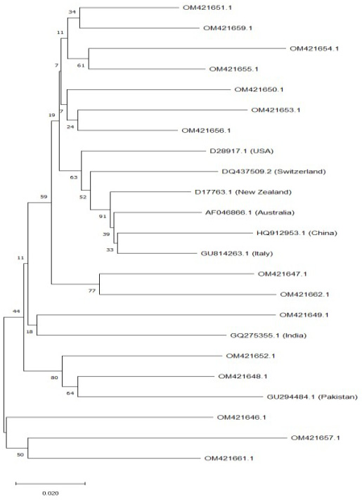 Fig. 7.