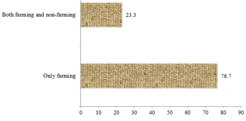Figure 4:
