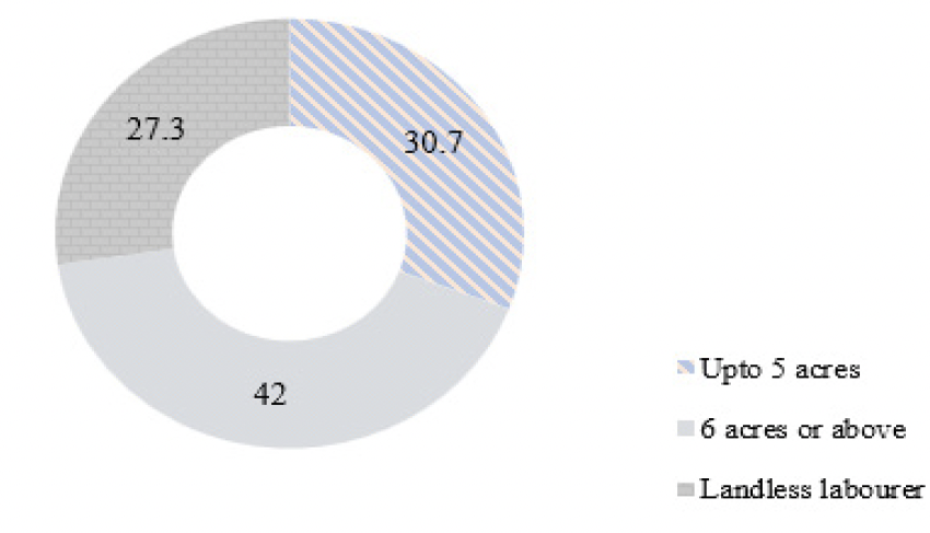 Figure 6: