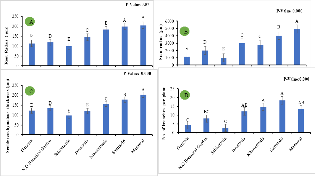 Figure 3: