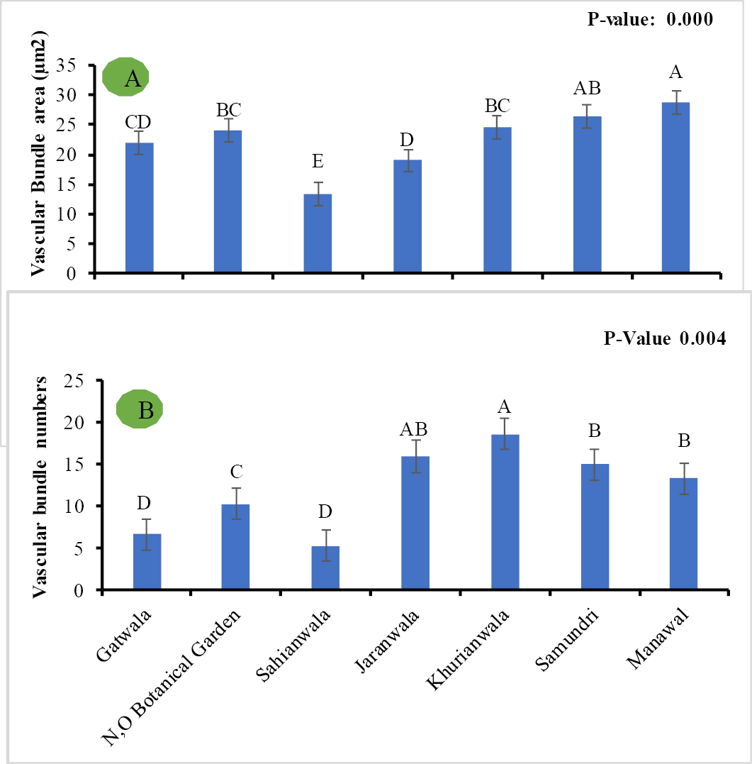 Figure 4:
