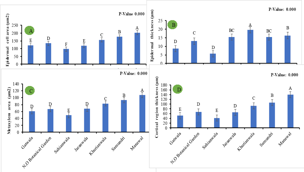 Figure 5: