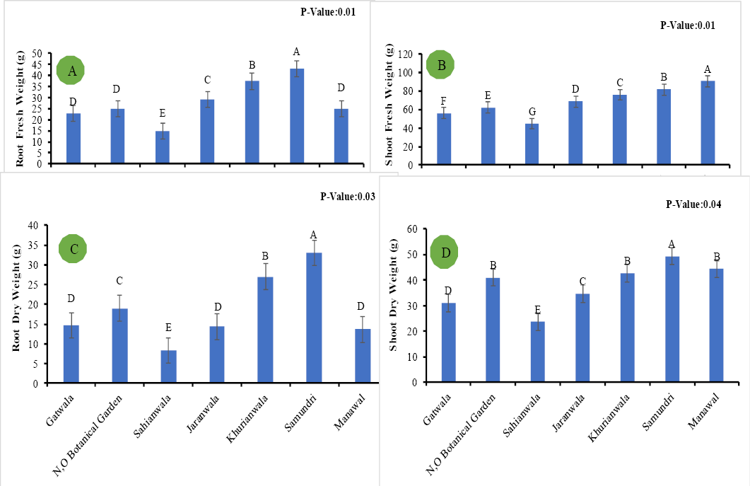 Figure 2: