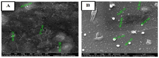 Figure 6: