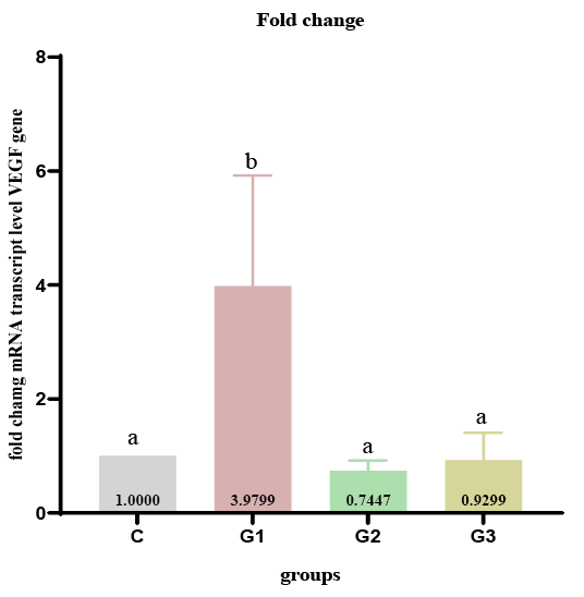 Figure 10: