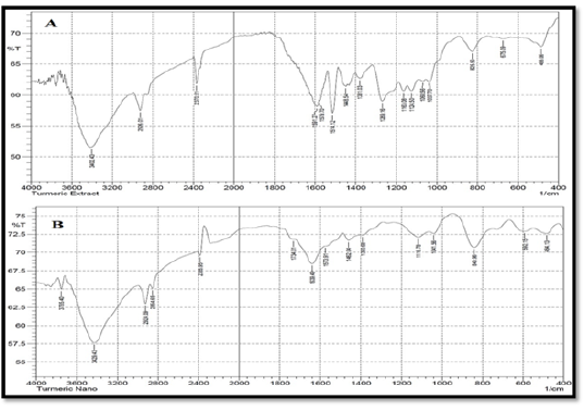 Figure 3A: