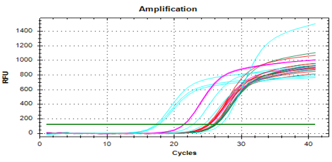 Figure 9: