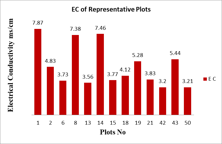 Figure 6: