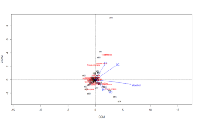 Figure 3: