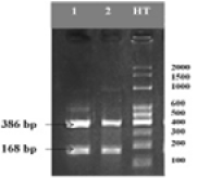 Figure 4: