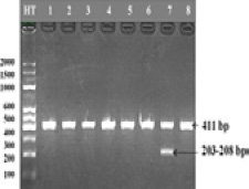 Figure 3: