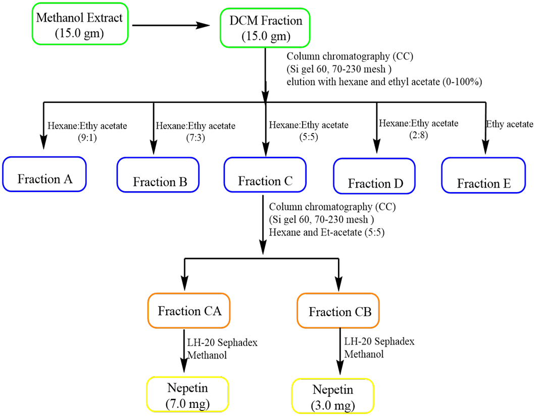 Figure 2: