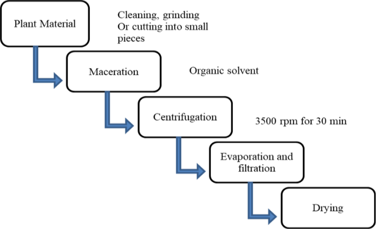 Figure 1: