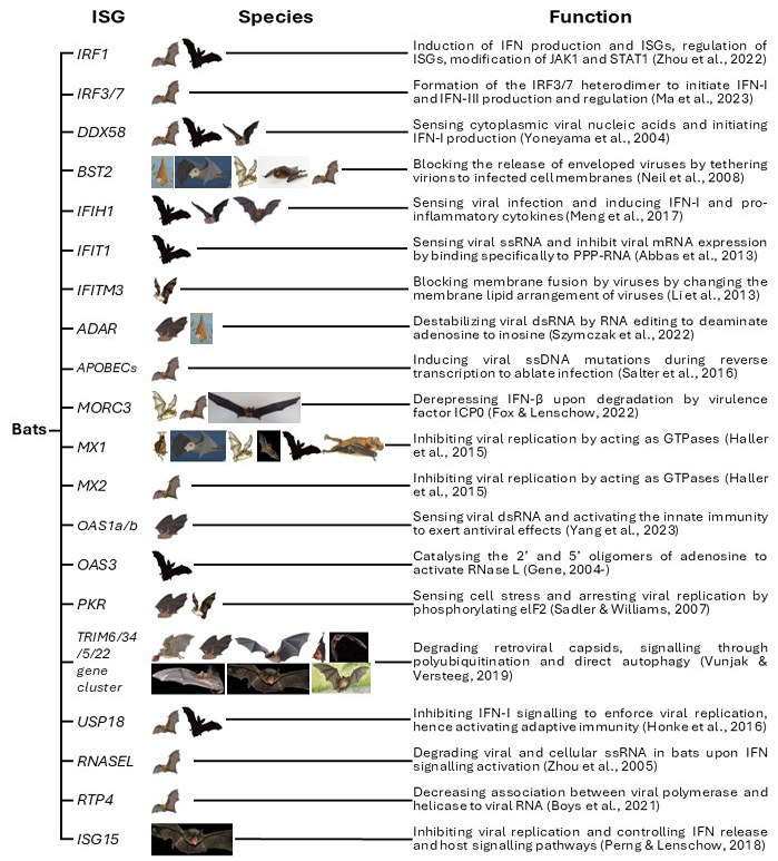 Figure 3: