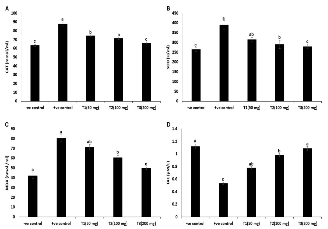 Figure 2: