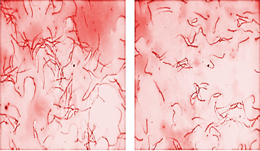 Figure 6: