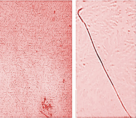 Figure 4: