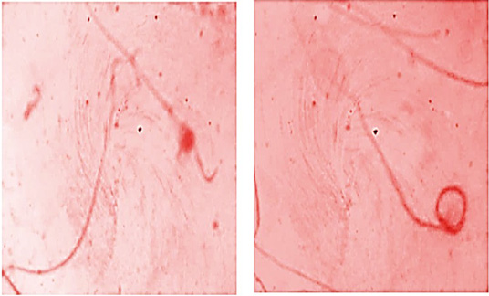 Figure 5: