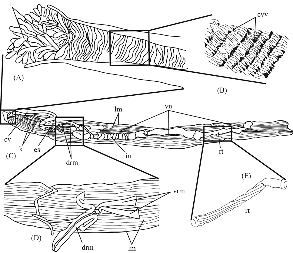 Fig. 3.