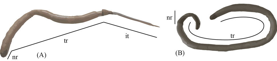Fig. 2.