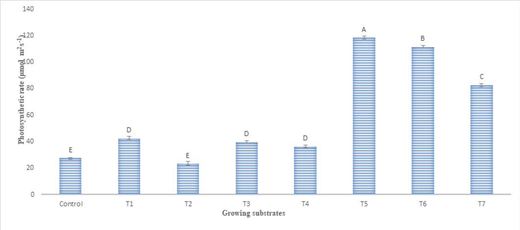 Figure 3: