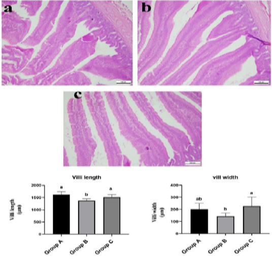 Figure 3: