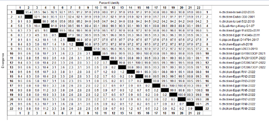 Figure 2: