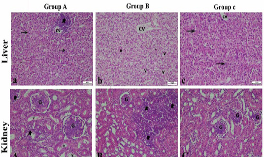Figure 5: