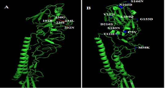 Figure 3: