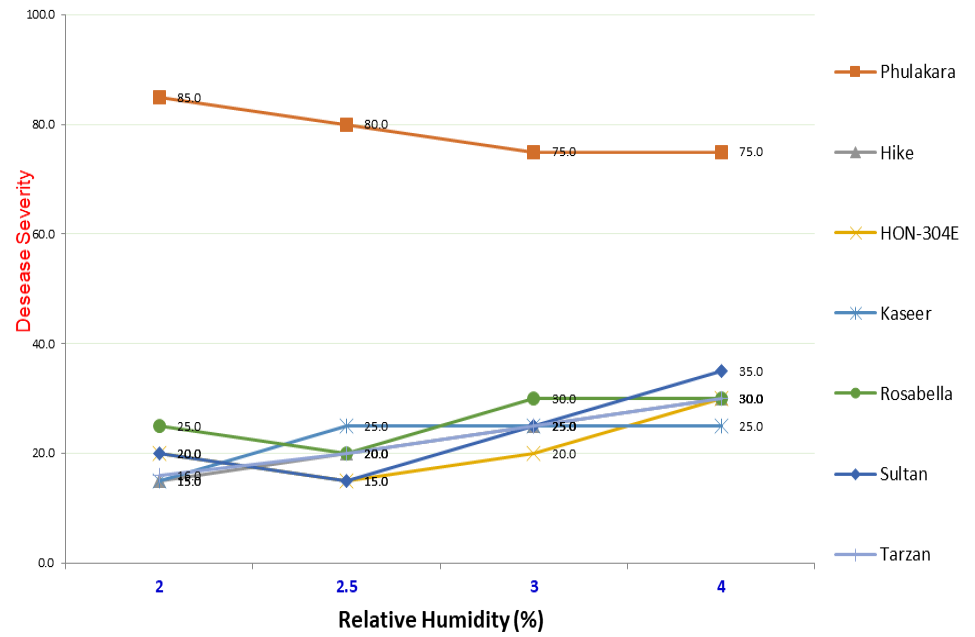 Figure 3: