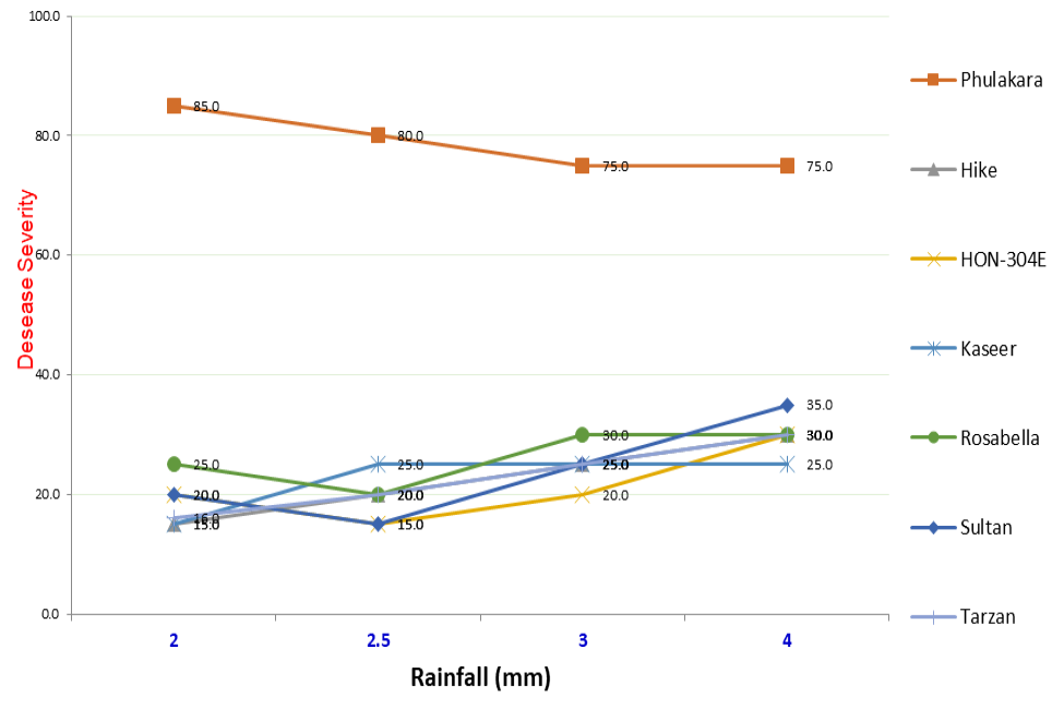 Figure 4:
