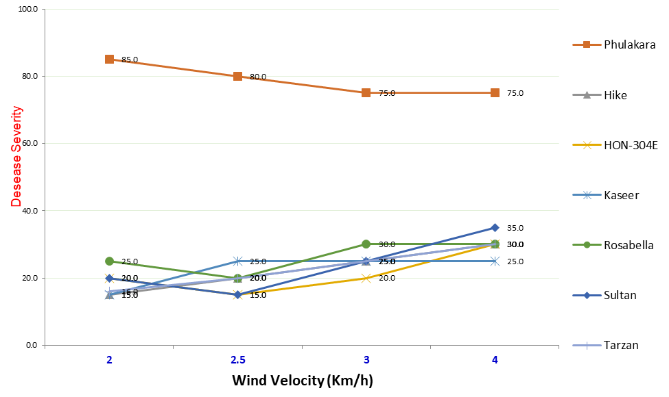 Figure 5: