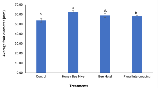 Figure 4:
