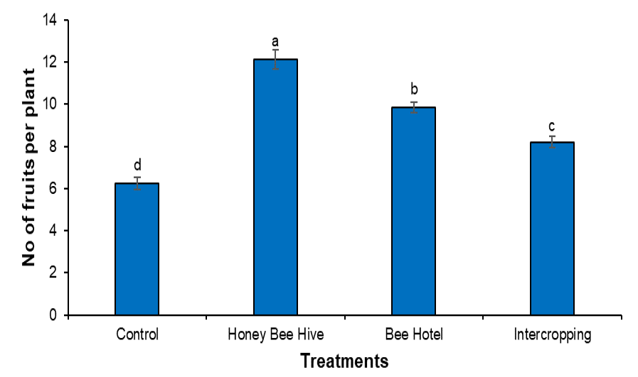 Figure 1: